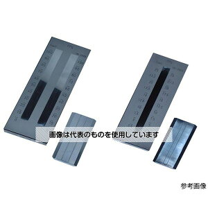 TPZ OCh[^[(Q[W) NO.31  100S F1