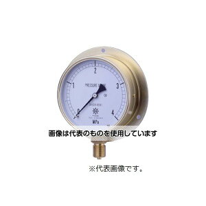 ���v�퐻�쏊 HNT�ėp���͌v BT3/8-100�F10MPA 0354-02-0040600 �����F1��