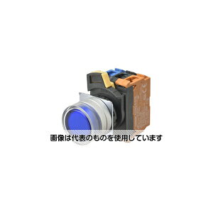 IiFAE@j XCb` A22NL-MGA-TYA-P101-YD F1