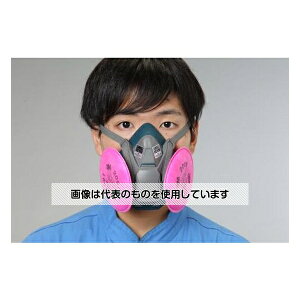 GXR [RL3] ho}XN(S) EA800NF-1 F1