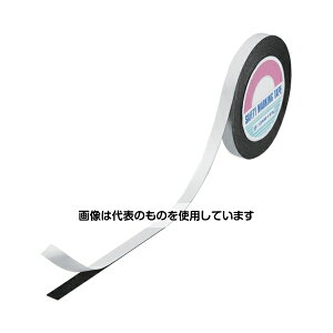 {Ώ\ WFPE-151 ͗ʃe[v(eʗp) 268501 F1