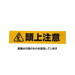 aCY ˕WXebJ[ 㒍 AHW251 F1