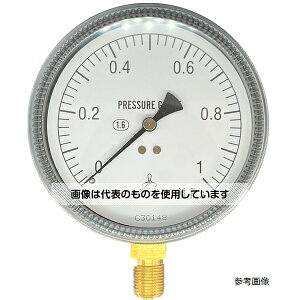 AY(AS ONE) ėp͌vA` 100 G3^8B2.5 PA10-100A-S-G3-P2.5 F1