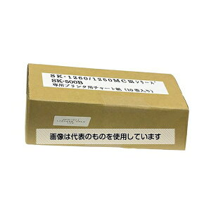 vʊ퐻쏊 fW^xvSK-1260/1250MCIIIpv^p`[g 10 8009-82 F1