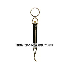 Ot ΂ˎ蔉@Ȃ@80kg ST-80@PeCiV@80kg 1