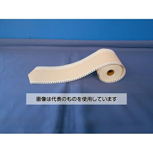 AY(AS ONE) L^ 10{ 40m E-CH-50A F1(2{×5)