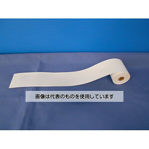 AY(AS ONE) L^ 10{ 26m E-CH-S15A F1(2{×5)