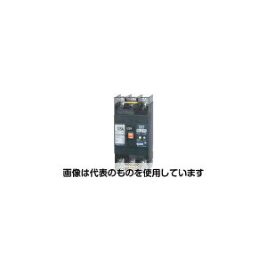 �A�Y����(AS ONE) �R�d�Ւf�� GB-123ED 125A 30MA 100-200V �����F1��