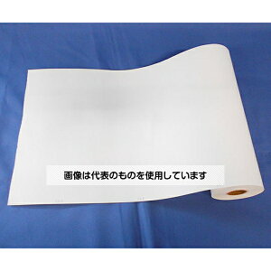 AY(AS ONE) L^ 10{ PR-231A F1(10{)