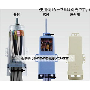 KAWAGUCHI pWCg{bNX iCXnbgM  10 F1(10)