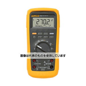 eNgjNXt[N fW^}`[^[ FLUKE-27II F1