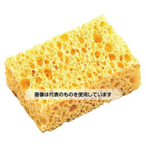 AY(AS ONE) GCnV8ږȃZbg SUMV8-WAT F1