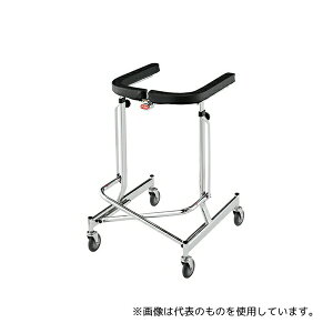 AR[(Ê퐻쏊) DX s⏕ (AR[/܂肽ݎ)