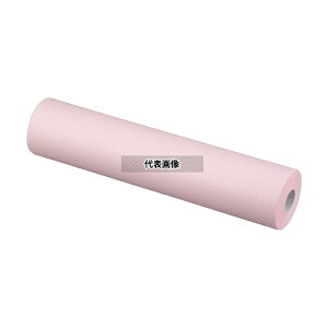 �A�Y���� RS-300P ���[���V�[�c �s���N 120�V�[�g