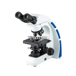 �A�Y���� SL-800 �v���������Y����������(�C���t�B�j�e�B)�o��