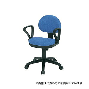 ���m������H�� T-210AXSN CH�`�F�A�[ �I�|�t