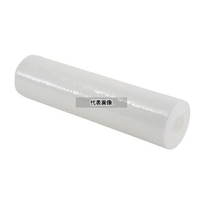 ���e�N�m�X PPS-10-1 �J�[�g���b�W�t�B���^�[