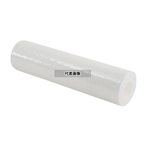 ���e�N�m�X PPS-10-5 �J�[�g���b�W�t�B���^�[