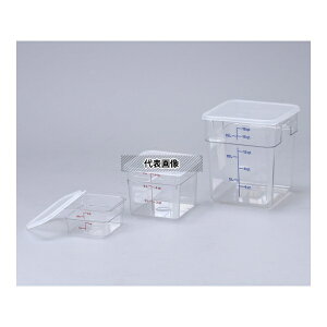 �A�Y���� 4SFSCW �t�[�h�X�g���[�W�R���e�i �p�^ 3.8L