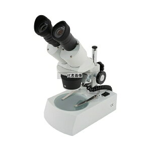 �A�Y���� ST30RDL-LED(20~40×) �o����̌����� 20×�E40×