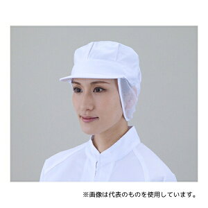 �A�Y���� 1-5 �q���X�q�j�����p ���p�g���^���V���b�V��