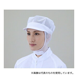 �A�Y���� 1-11 �q���X�q�j�����p ���p���b�V���^���A�^�SMG