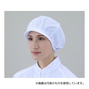 �A�Y���� 1-17 �q���X�q�����p �j�b�g�����n6��