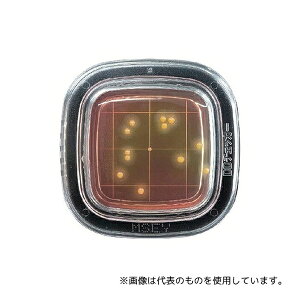 �h�����w �؂���`�F�b�N?DD MSEY���V�|�n 1��(20����) PD0009 1��(20����)