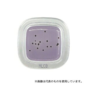 �h�����w PD0015 �؂���`�F�b�N�HDD MLCB���V�|�n 1��(20����)