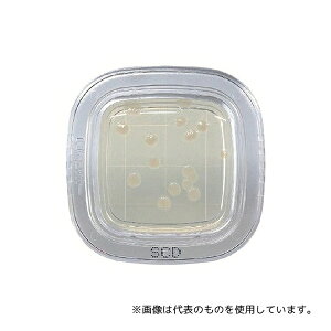 �h�����w �؂���`�F�b�N?DD SCD���V�|�n 1��(20����) PD0023 1��(20����)