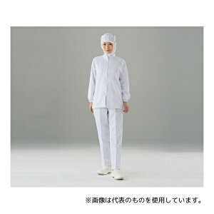 �A�Y���� FX70746S �H�i�p���j�t�H�[���j���p �p���c L