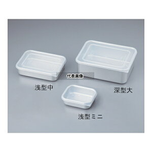 �A�Y���� �p�V�[���e�� �A���~�� (2.0L) 246×190×55mm