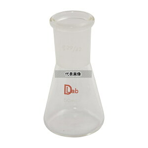 ���u�f�B�|�b�g ���ʐ����O�p�t���X�R(��]�_�K���X-1) 50mL 29/42