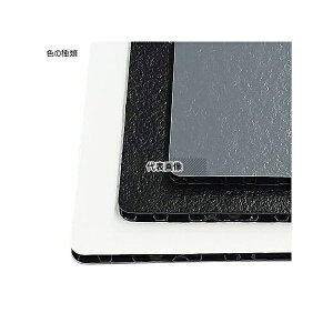 �v���C�^ PR10/30-0404K �v���p�[���O�w�i�J�b�g�i 400×400×��10mm �� 1�Z�b�g(10����) [�@�l����]