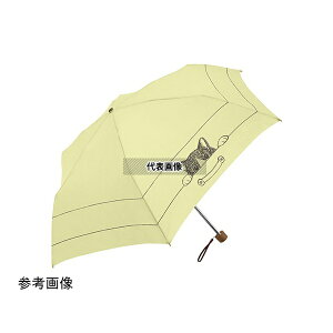 �O�� S2515811 MKN ���R�[�e�B���O�P 50cm�y�~�j ��������CAT mini �C�G���[