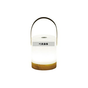 �A�Y����(ASONE) SP-36519 �n���h���t�������F�^�b�`���C�g