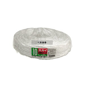 �{�����w�H�� �X�J�C���[�v �� 10mm×80m BS100 �����F1��