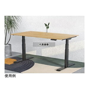 Flexispot E8BJA+DR1206BB �d�����~�f�X�N �u���b�N �|