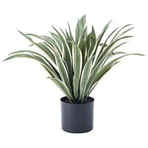 J tFCNO[  lHϗt ϗtA CeA  [t AKx  lC GRN-13