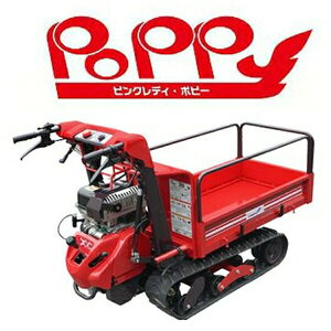 }LjR@BP51CFDS@^N[^ԁwsNfB|s[x [@l][ʓrς]