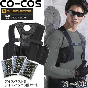 R[RX(CO-COS) GI-409 ACXxXg&ACXpbN(3)Zbg TCYS`3XL {ۗ z MǑ΍ {gACX OfBG[^[ ƒ ƕ