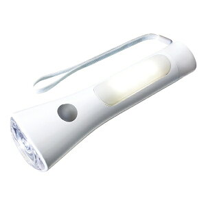  LED^td zCg KFL-304L(W)