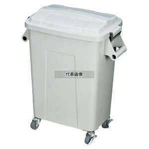 g{ ~[p_Xgy[45 LX^[t O[ 45L 510×310×H620 |/qpi No.0099100