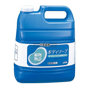 CI A{fB[\[v 4L D120×W190×H260 Xܔi/hЗpi No.0117600