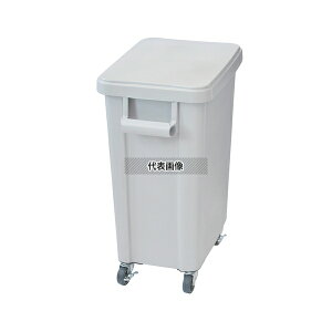 RISU(X) ~[pLX^[y[(rt) 45L O[(GY) 45L 505×305×H595mm No.0559200