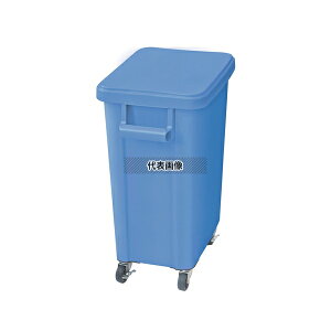RISU(X) ~[pLX^[y[(rt) 45L u[(B) 45L 505×305×H595mm No.0559300