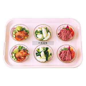 ֓vX`bNH FRP vZbgg[ H-6000 440×310×H28 440×310 g[ JtF/T[rXpi/g[ No.1018300