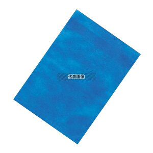ƂTG[X Ɩp ƂTG[X  u[ (100) 180×300mm 180 /݂ No.1130830