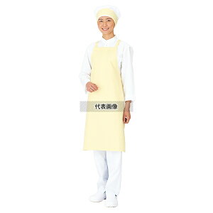 RE EghCGv ^XL| E-1004-0T zCg 900×650 jtH[ No.1167400