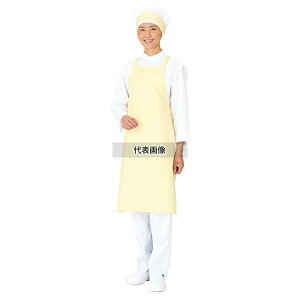 RE EghCGv ^XL| E-1004-3T N[ 900×650 jtH[ No.1168000